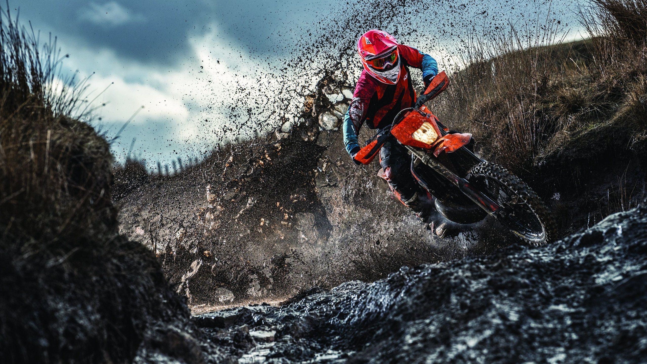 法网最新形势：曼城高居榜首，国际米兰强势追赶，冠军归属成迷